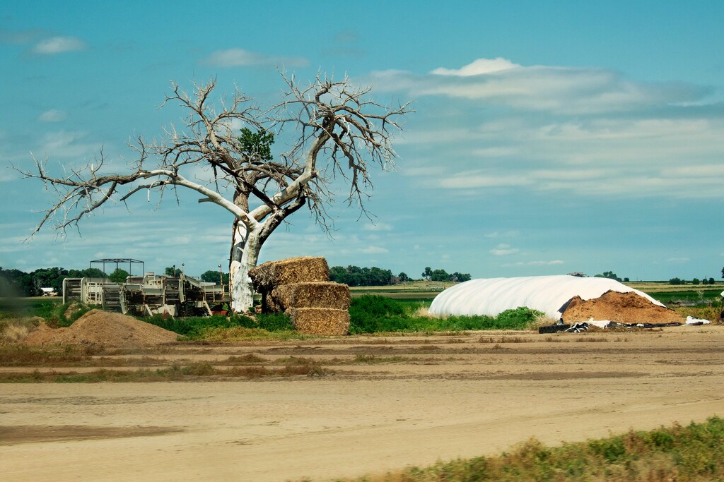 Prairie land state of Kansas by 365projectorgchristine