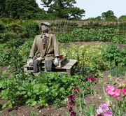 26th Jun 2023 - In the walled garden Mr Scarecrow...