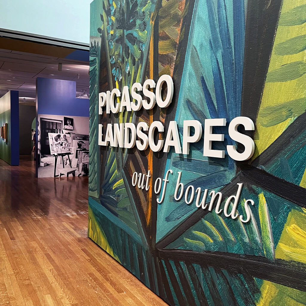 Picasso Landscapes by yogiw