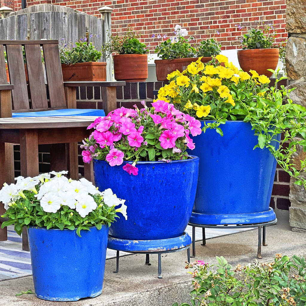 Three Blue Flower Pots by yogiw