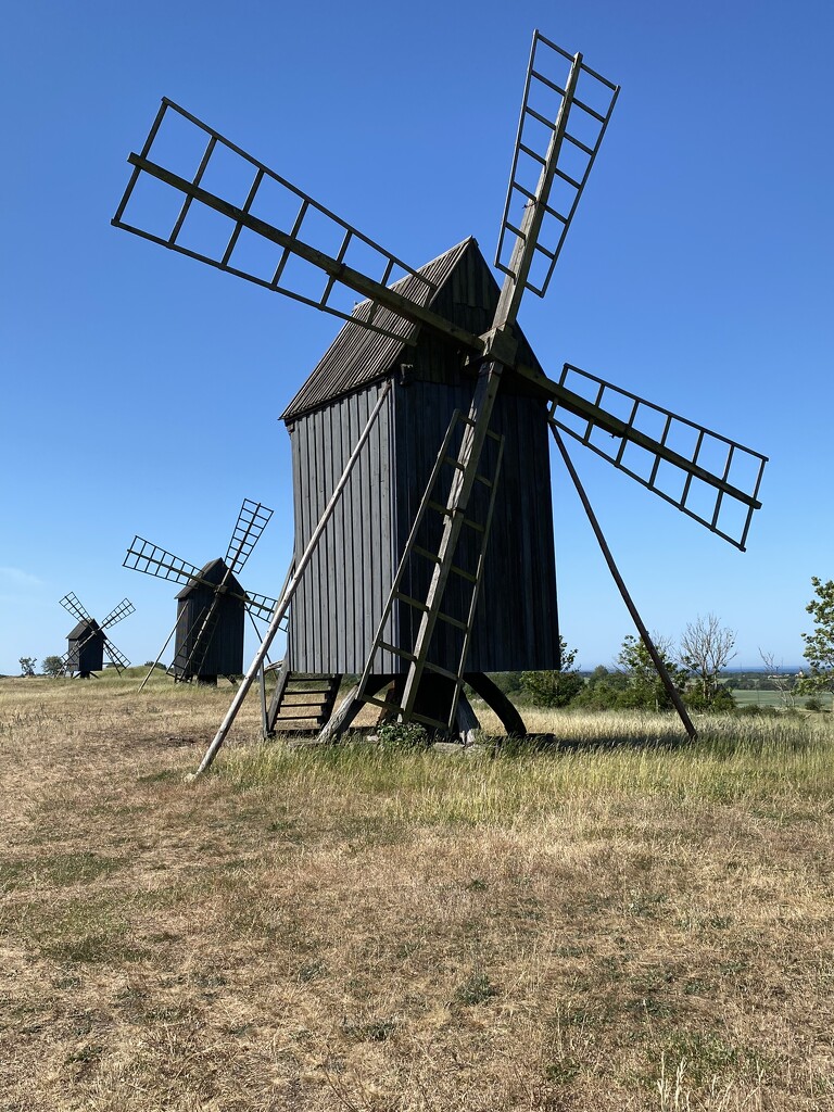 Wooden Windmills on Oland Island, Sweden by clay88