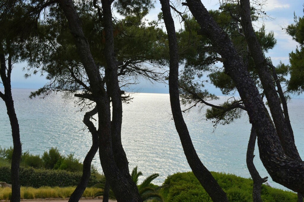 View from the sand dunes by anitaw