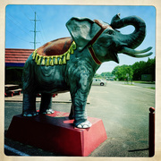 23rd Jun 2023 - Elephant Point