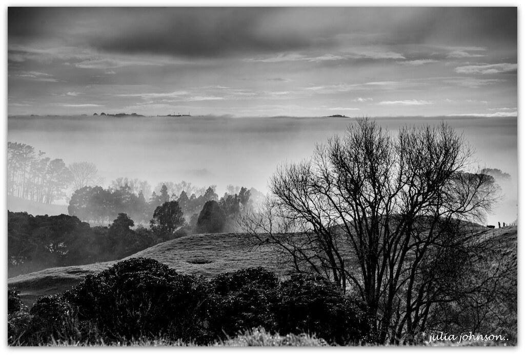 Black and White Foggy Morning by julzmaioro