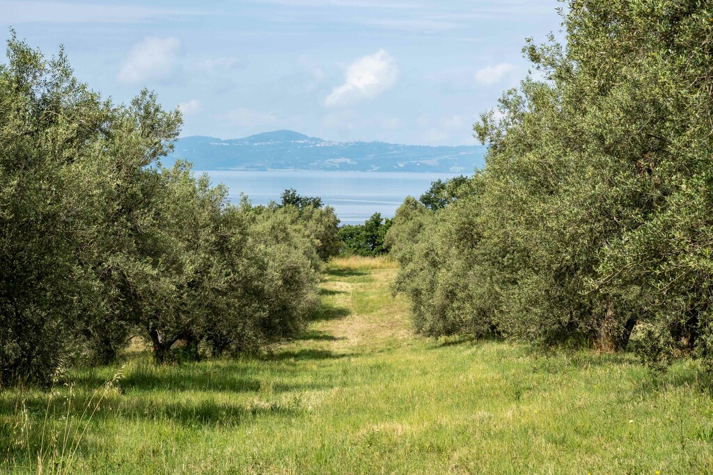 Lago di Bolsena by 365nick