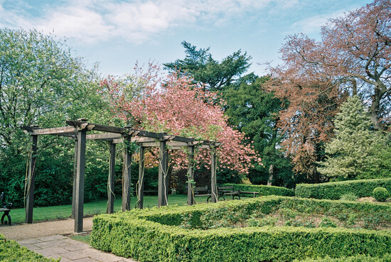 I Shoot Film Duck Park Rose Garden In Spring By Phil Howcroft 365 Project