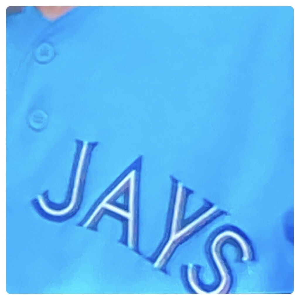 J Is for Jays by spanishliz