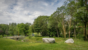 28th Jun 2023 - Rocks in the park