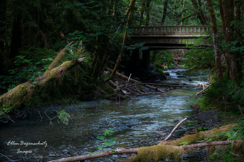 Stream in Evening Light by theredcamera