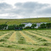 Silage Cut by lifeat60degrees