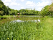 18th May 2023 - Hereford Campsite Mill Pool 