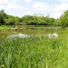 Hereford Campsite Mill Pool  by speedwell