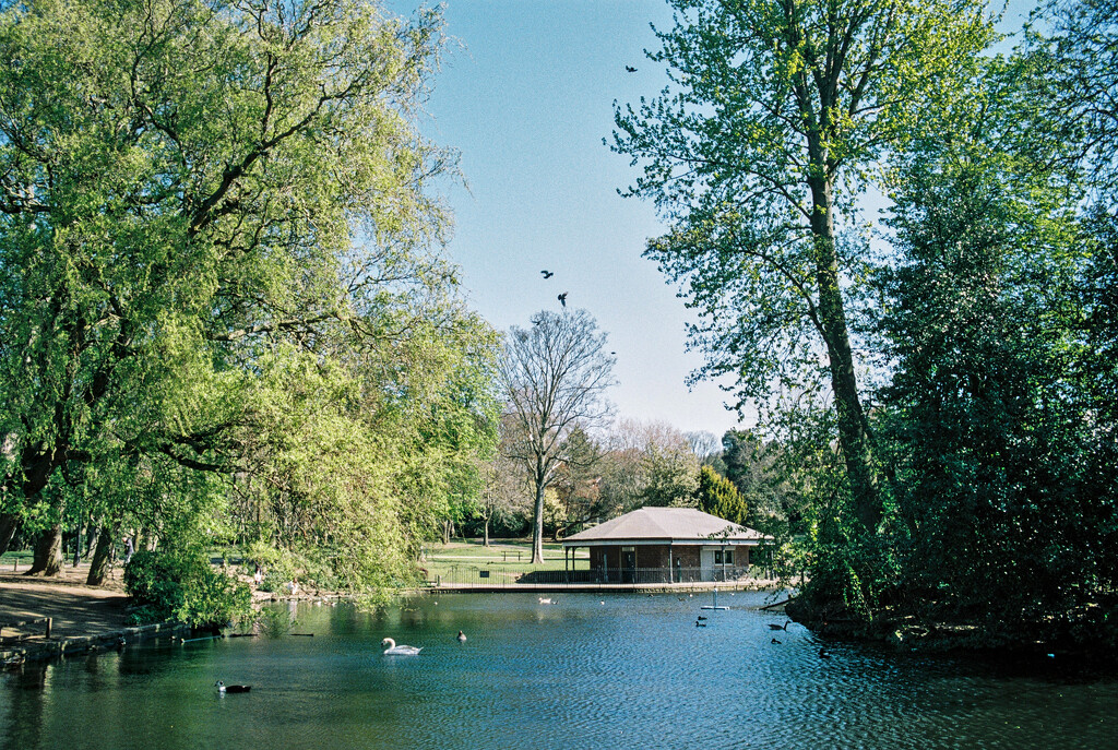 I Shoot Film : The Duck Park Lake and Cafe by phil_howcroft