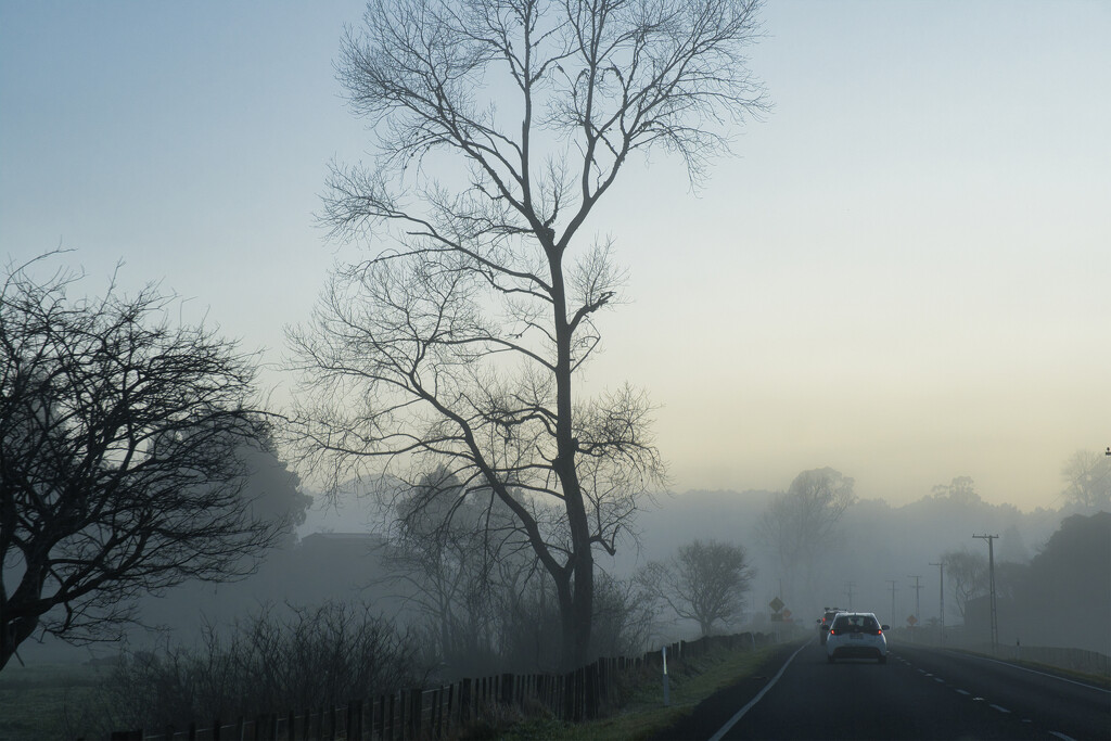 On the road by dkbarnett