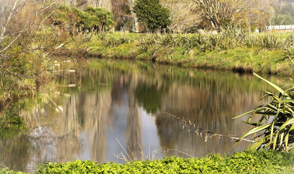 River reflection by sandradavies