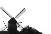 29th Jun 2023 - Windmill