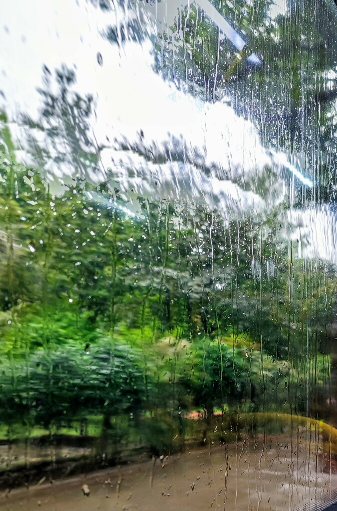 The wild rain from the bus  by boxplayer