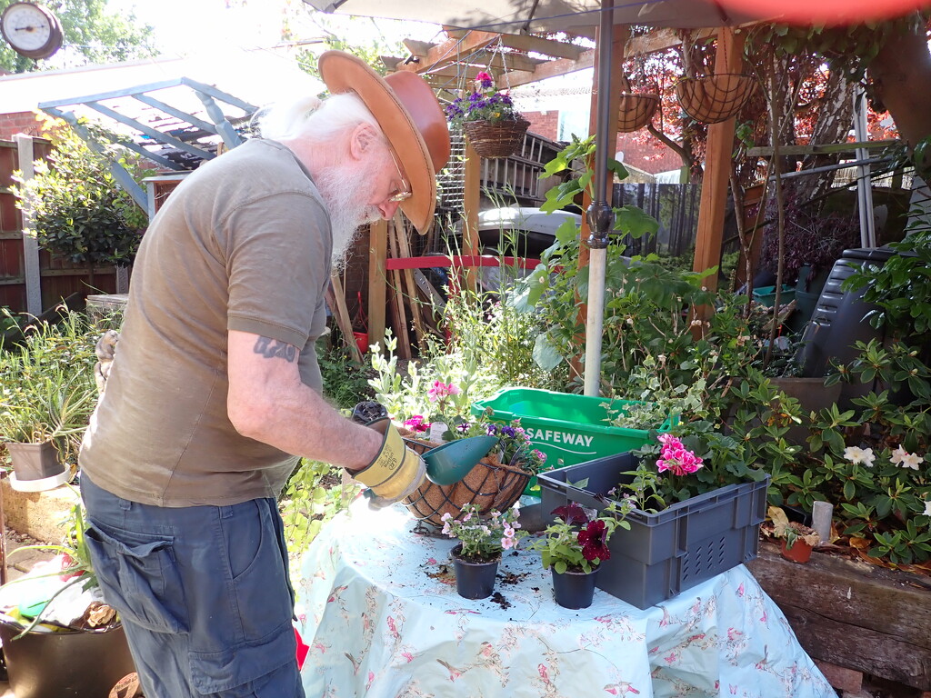 getting stuck into a hanging basket project by speedwell