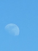 28th Jun 2023 - Moon by day