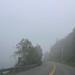 Foggy Rt 92 by berelaxed