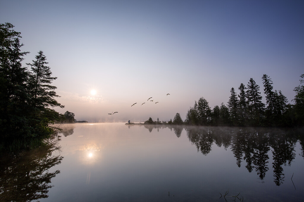 Calm Morning Lake by pdulis