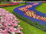 30th Jun 2023 - Art That Uses Flowers