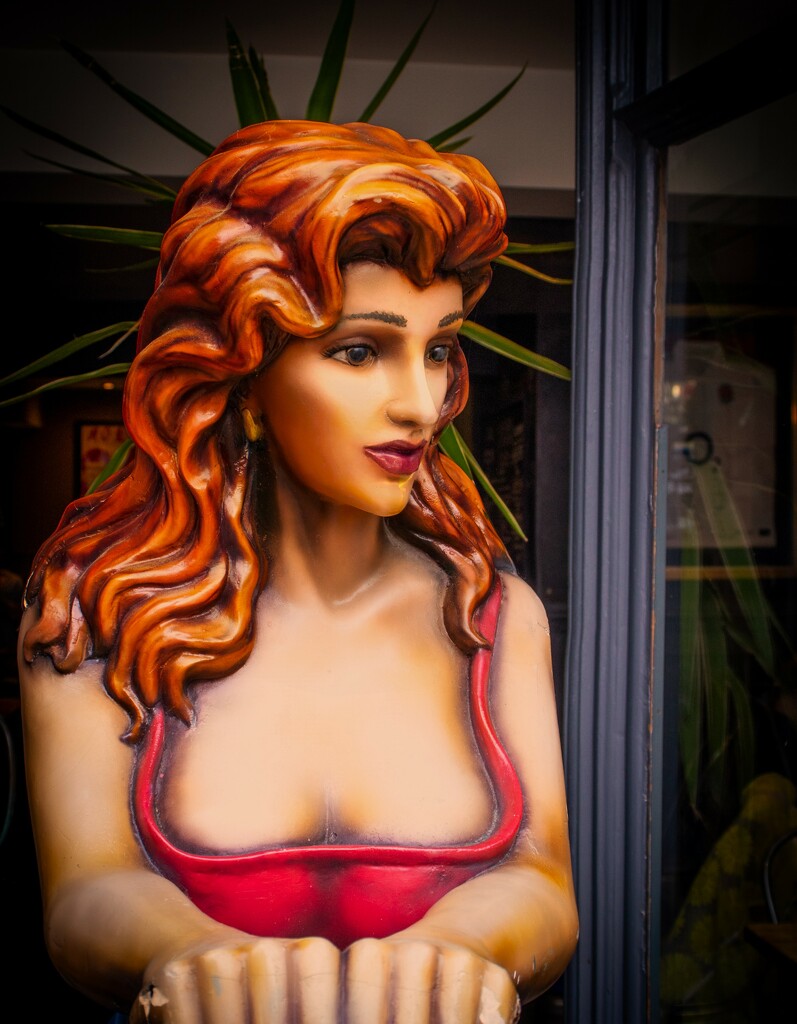 The secret lives of mannequins #53 by swillinbillyflynn
