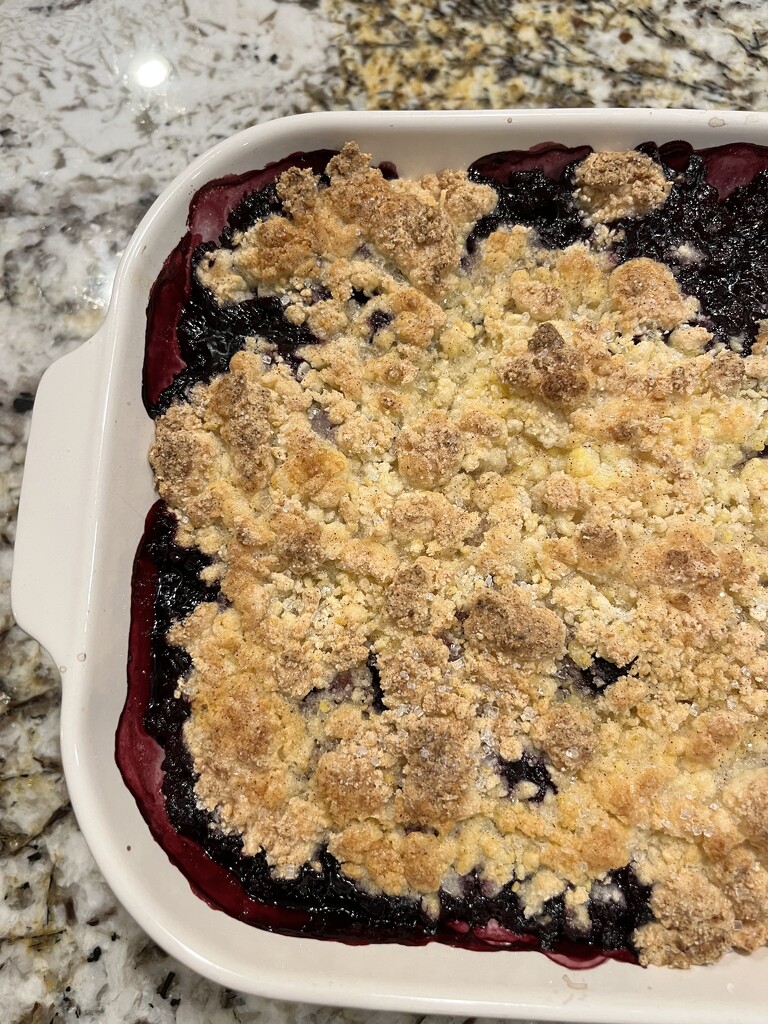 Raspberry Cobbler  by beckyk365