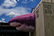 5th Jun 2023 - Houston Museum of Natural Science