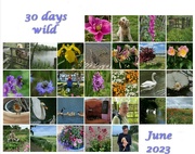 1st Jul 2023 - what I did - in June