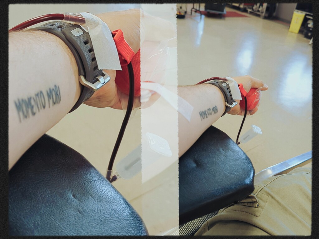 Donating Blood  by aydyn