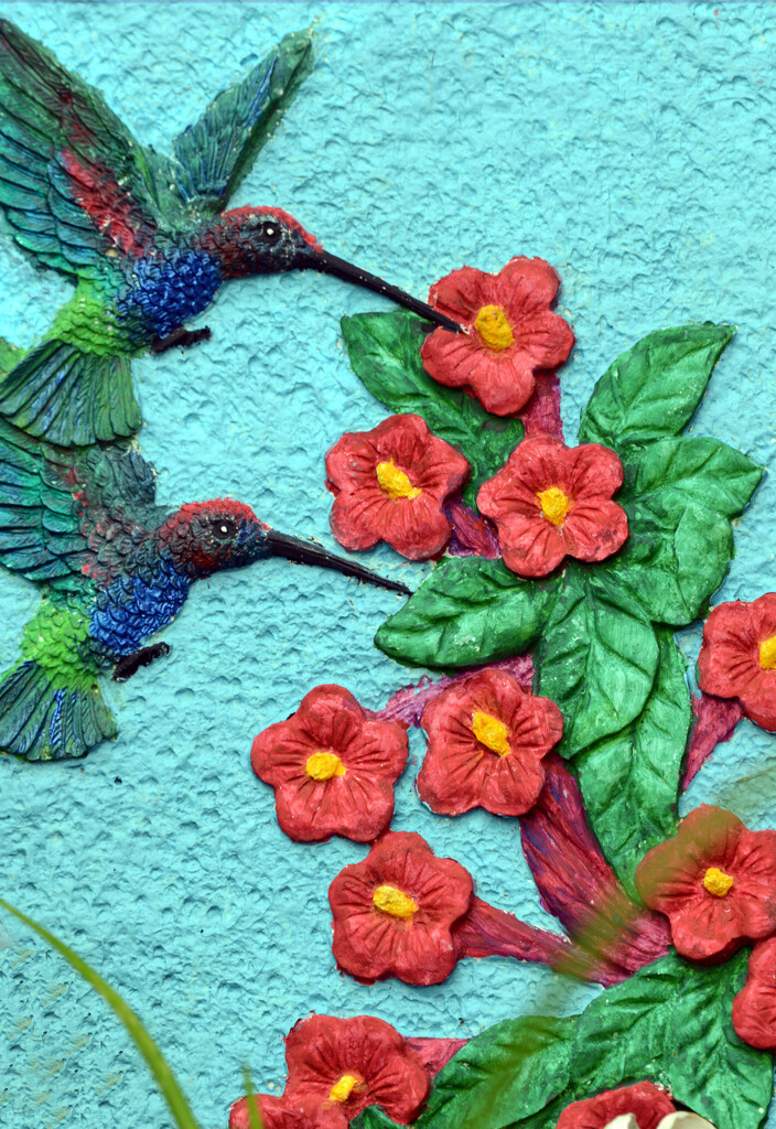 hummingbirds by francoise
