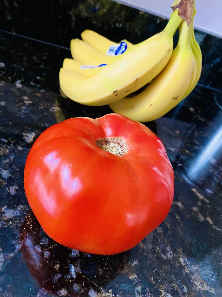The $7.00 tomato!! by ggshearron