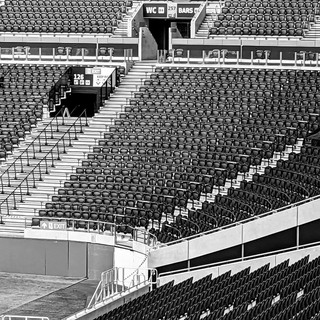 Tottenham Hotspur Stadium  by onebyone