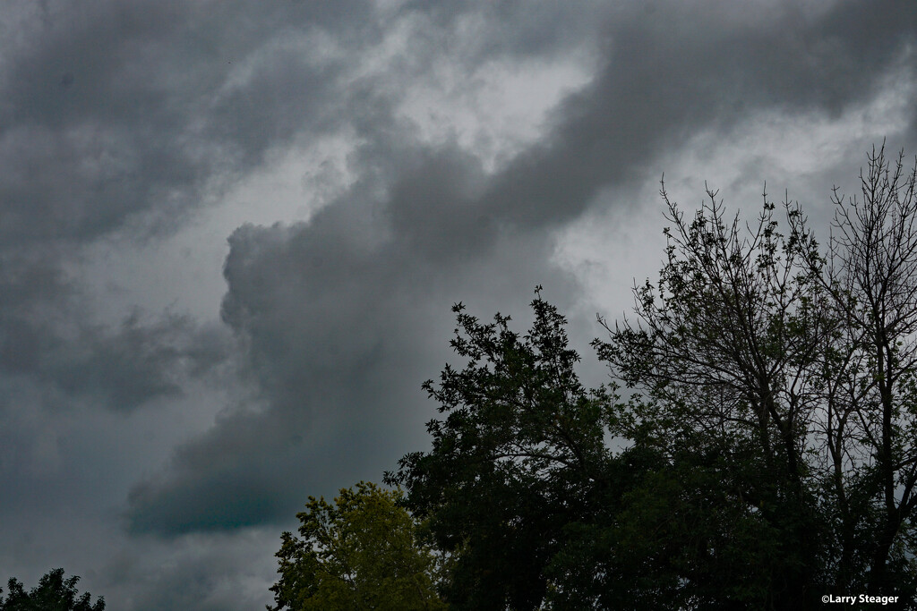 Stormy weather by larrysphotos