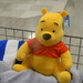 Winnie the Pooh at TJ Maxx  by sfeldphotos