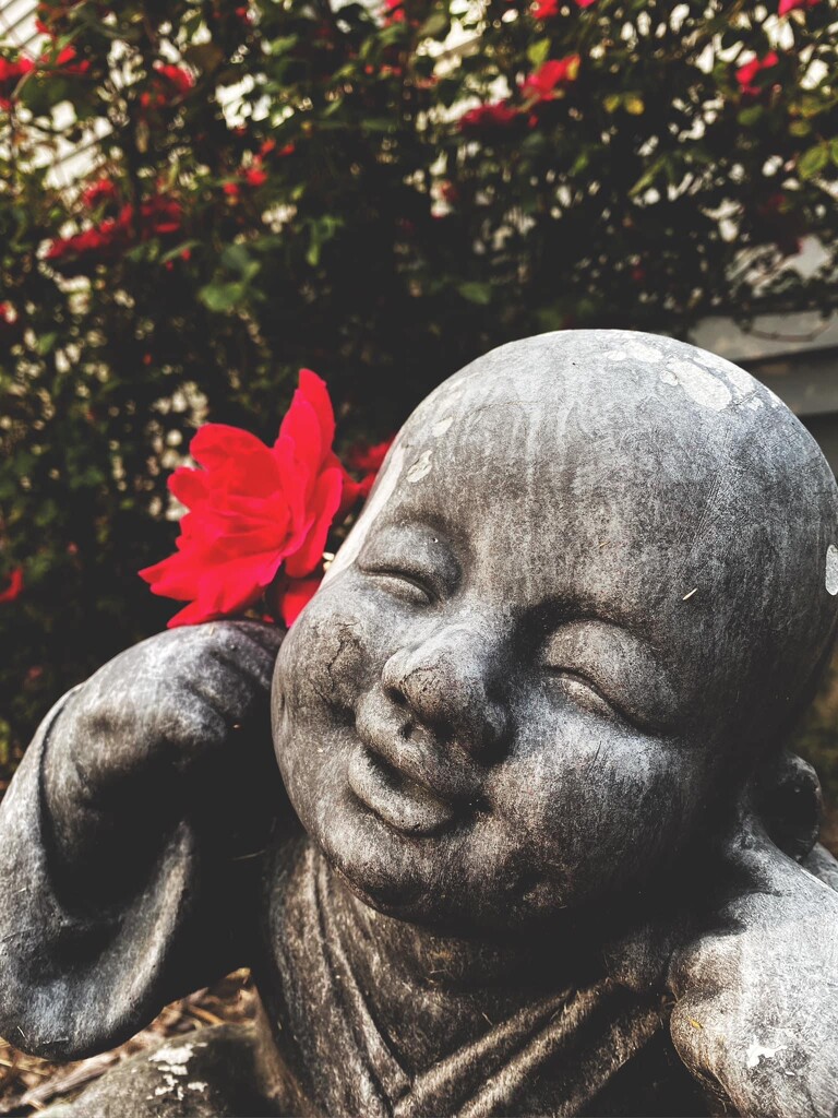 Baby Buddha And His Roses by sheilalorson