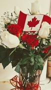 1st Jul 2023 - Happy Canada Day