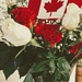 Happy Canada Day by gq