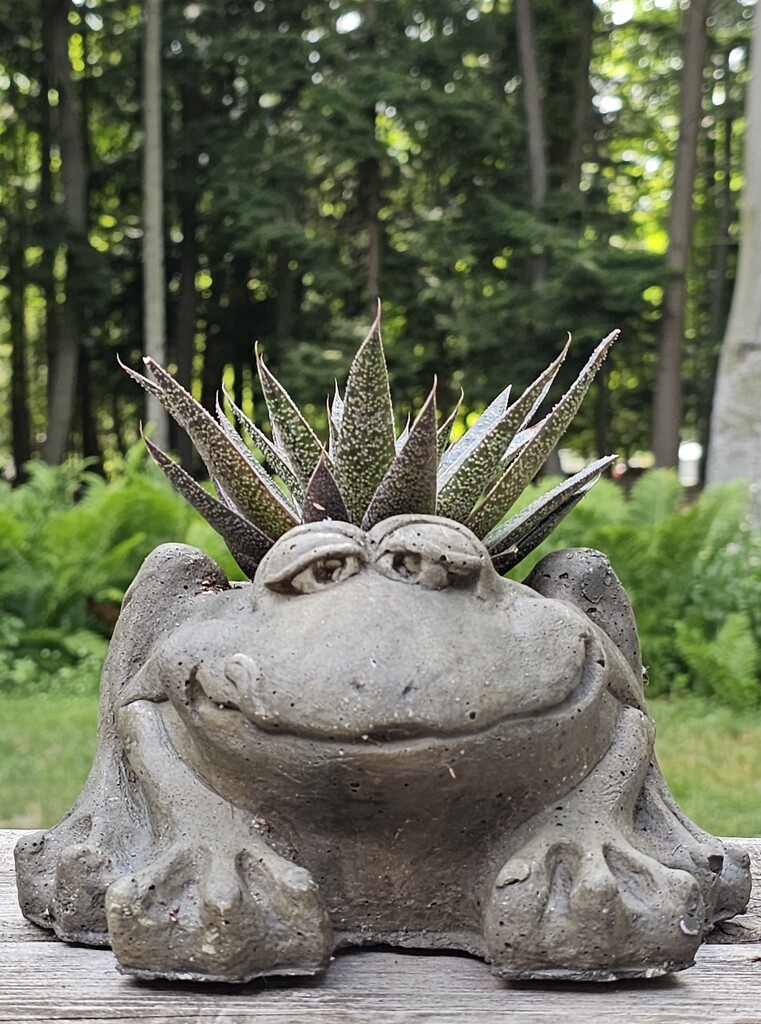 Froggie by edorreandresen