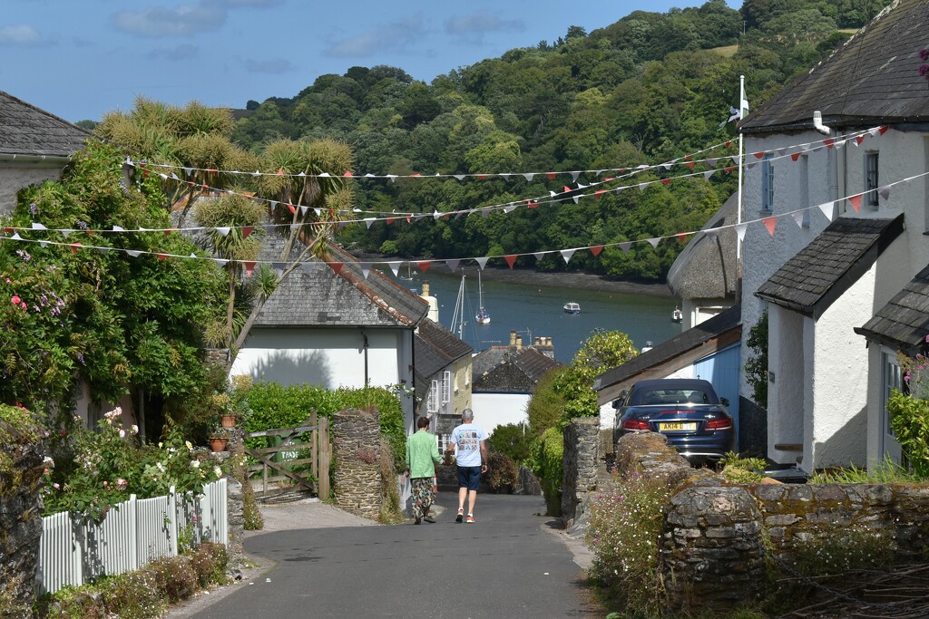 A pretty lane in Devon by anitaw