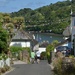 A pretty lane in Devon by anitaw