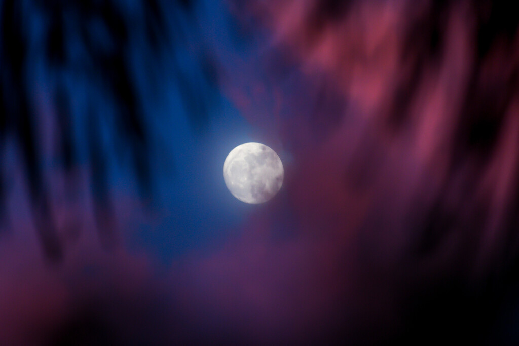 Moon peaking through by danette
