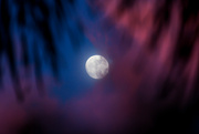 2nd Jul 2023 - Moon peaking through