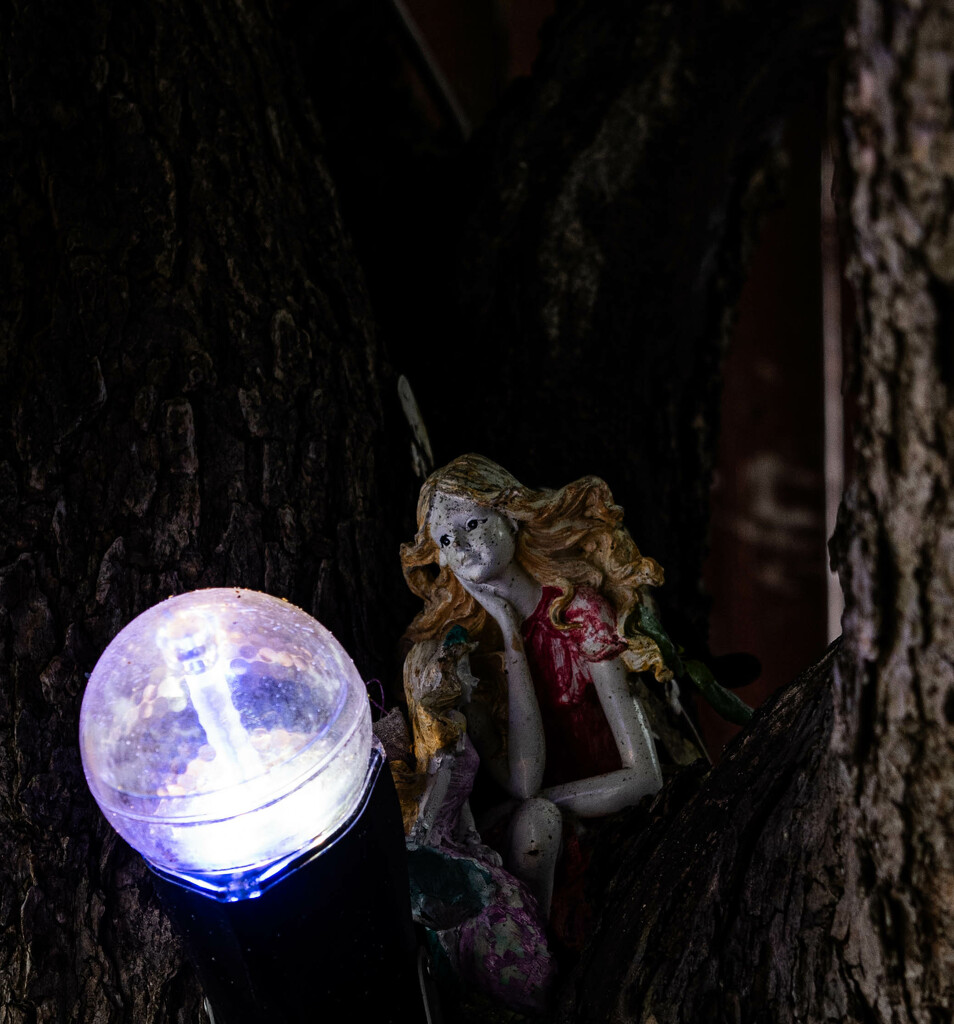 Faerie and Light by darchibald