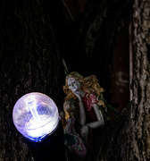 2nd Jul 2023 - Faerie and Light