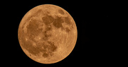 2nd Jul 2023 - Almost Full Moon!