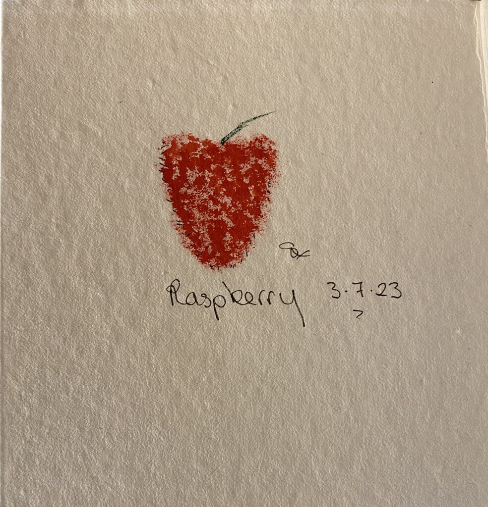 Raspberry  by wakelys