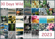 30th Jun 2023 - 30 Days Wild Collage