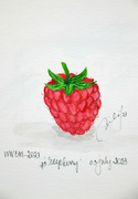 3rd Jul 2023 - raspberry